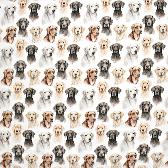 Jersey, Baumwolle, digital, Tiere, 29016