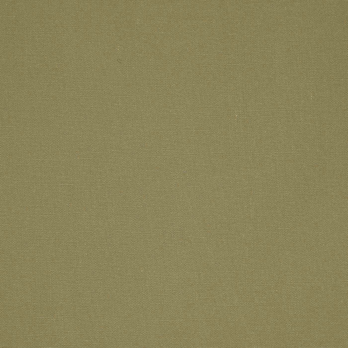 Baumwolle, Popeline, 29103-161, grün