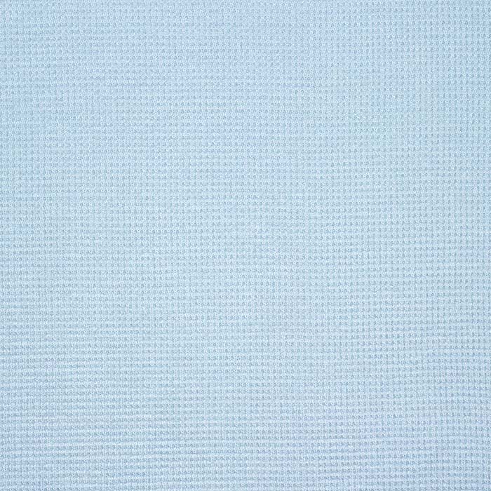 Jersey, Baumwolle, Waffel, 29031-920, hellblau