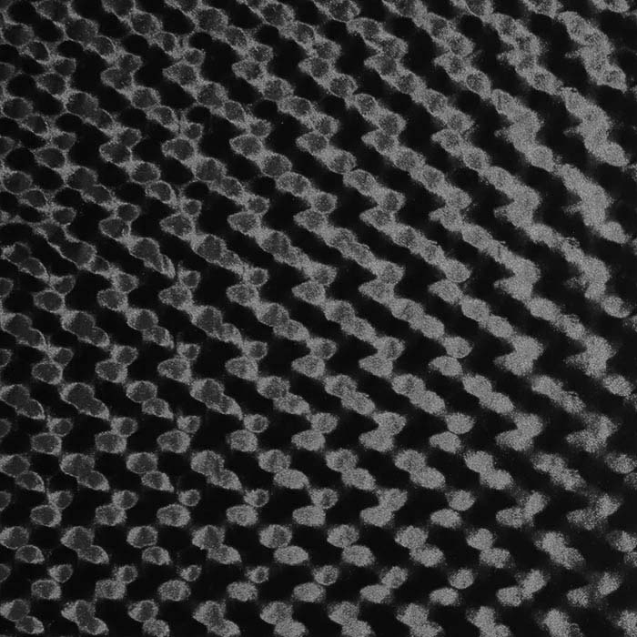 Plüsch, Polyester, Kreise, 29400-690, schwarz