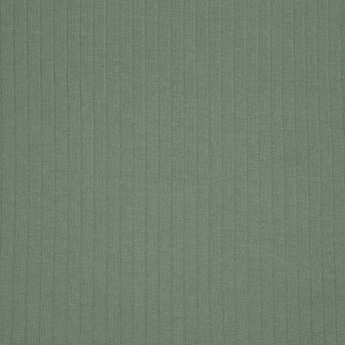 Rippenjersey, Baumwolle, 29786-006, grün