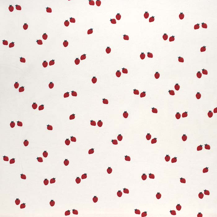 Jersey, Baumwolle, Obst, 29801-022
