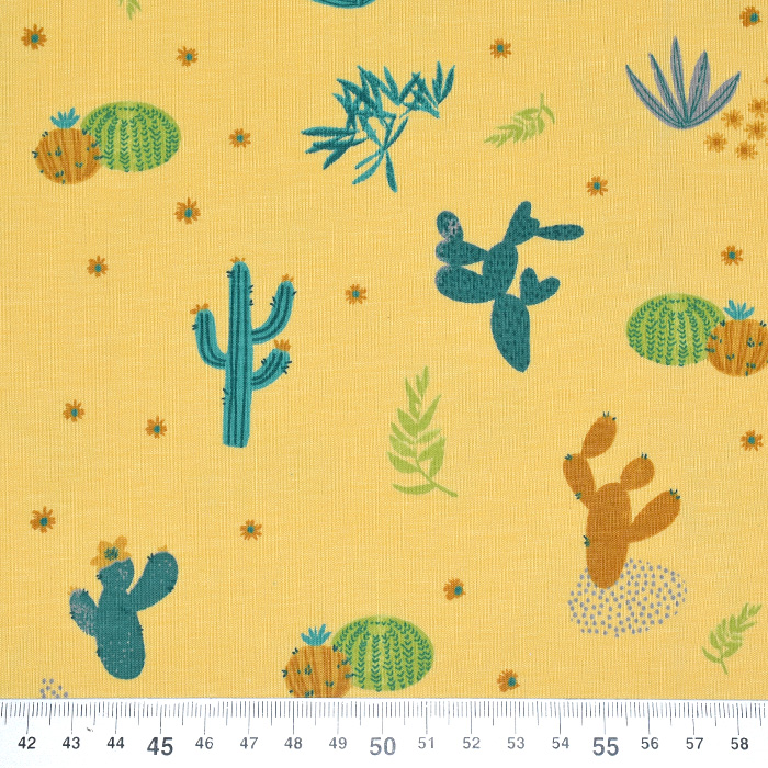 gymnocalycium mihanovichii var friedrichii Rare Cactus main image 0
