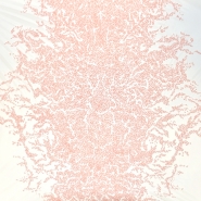 Spitze, exklusiv, 18380, aprikose