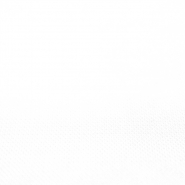 Netz, elastisch, Polyamid, 21212-1, weiß