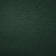 Kunstleder Karia, 17077-408, grün