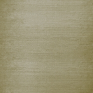 Seide, Shantung, 025_3956-14A, gelbsilbern