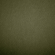Kunstleder Sin Visage, 19749-440, grün