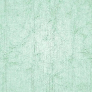 Gewebe, zerknittert, Polyester, Viskose, 26770-671, mint
