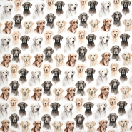 Jersey, Baumwolle, digital, Tiere, 29016