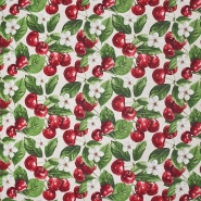 Deko, Druck, Obst, 27849-157