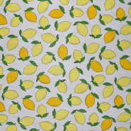 Deko, Druck, Obst, Gemüse, 30228-825