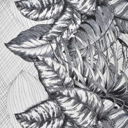 Baumwolle, Popeline, Natur, 30418-9, schwarz